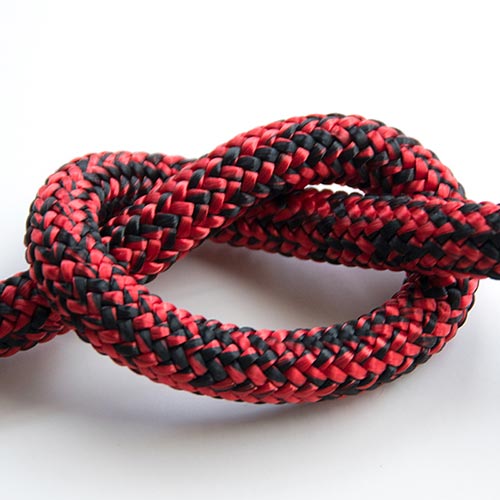 red and black leash